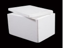 Cooler Box 22L